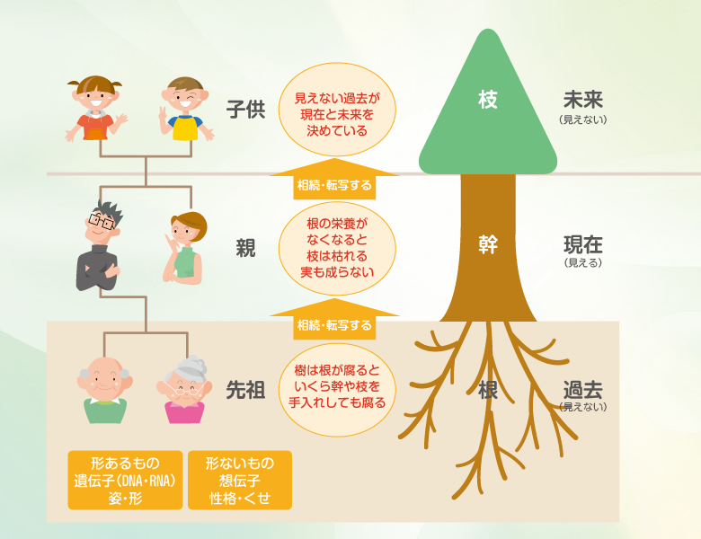 運命は相続･転写される