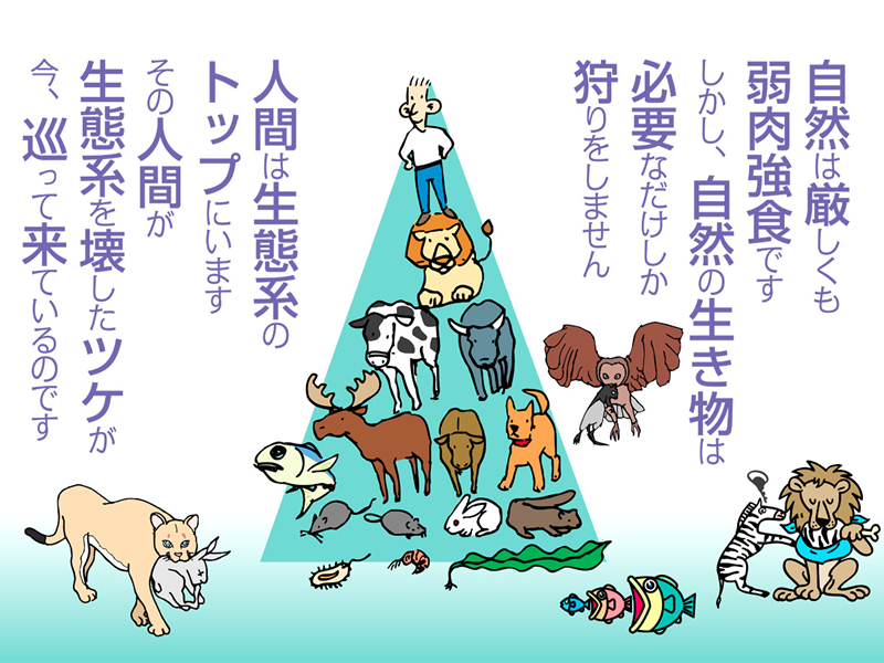 スライド