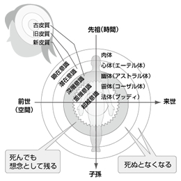 矢作直樹